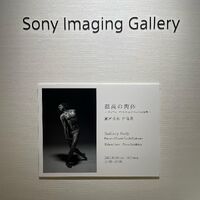 画像2491