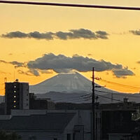 画像3147